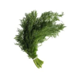 Dill i bnt