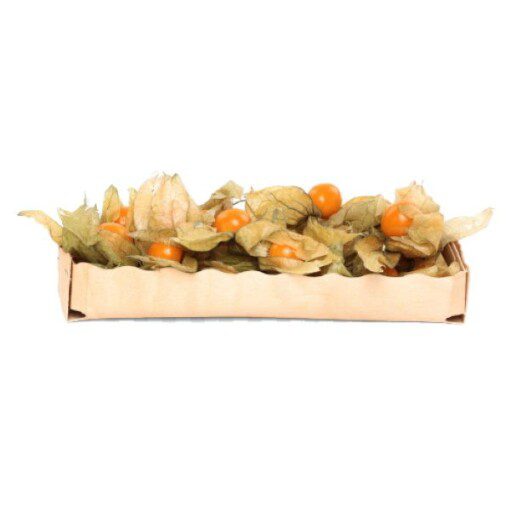 Physalis i Kurv