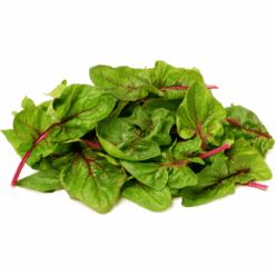 Salat Red Rhubarb Pakke
