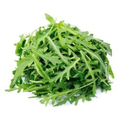 Salat Ruccula pk