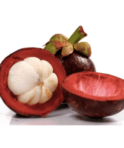 Mangostan