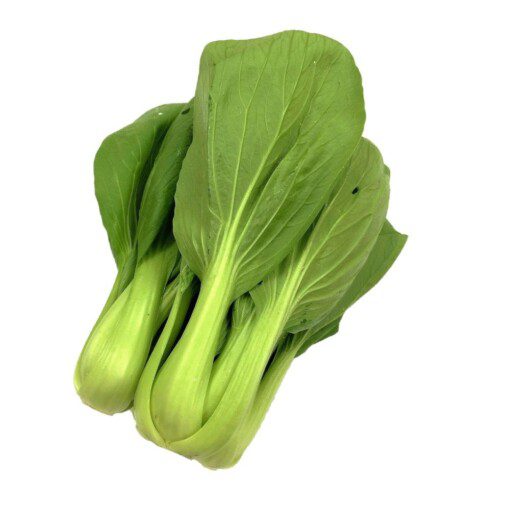Pakchoi  Pak Choy