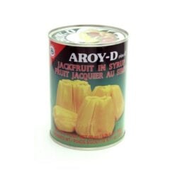 AROY-D Jackfruit in Syrup 565 g can