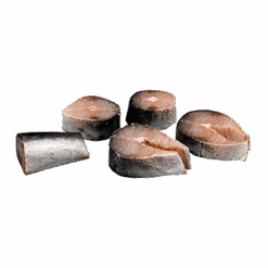 Barracuda/Seela Fisk i Skiver 1 Kg