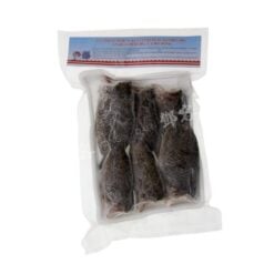 Climbing perch (Klatre abbor) fisk 500 g