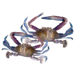 Cut Crab Blue 6/10 Swiming 680 g