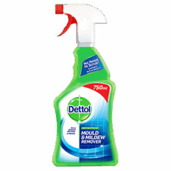 DETTOL Mould& Mildew Remower 750 ml