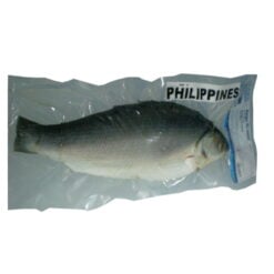East Milkfish BANGUS Rå Renset 500/800 Gutted
