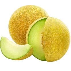 Melon Galia