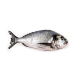 INDISK Dorade Fisk pr.Kg