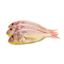 Japanese Threadfin Bream 850 g
