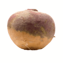 Kålrot