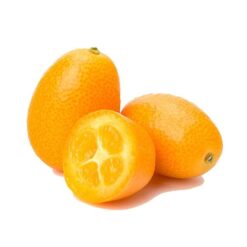 Kumquat