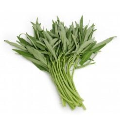 MORNING GLORY/ RAU MUONG 200 g (TL)