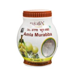 PATANJALI Amla Murabba 500 g
