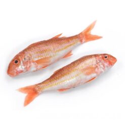 Red mullet Rød fisk whole1Kg