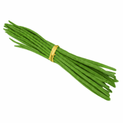 Srilanka drumstik