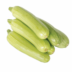Tyrkisk Squash