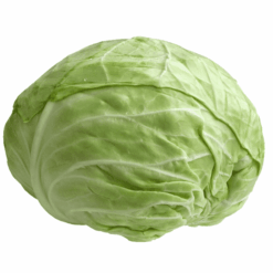 Tyrkisk kål