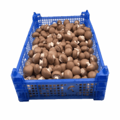 Aroma sopp 2.5 Kg