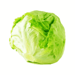 Issalat Stk