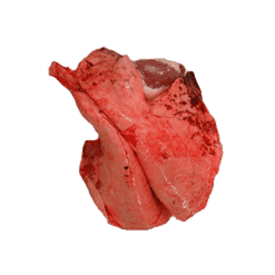 Lammelunge er en sunn matvare som skiller seg ut med sine rike næringsverdier. Takket være vitaminer, mineraler og høykvalitets proteininnhold, gir den mange fordeler som å styrke immunforsvaret, støtte fordøyelseshelsen og oppmuntre til muskelutvikling. Det kan betraktes som en del av et balansert kosthold. Vi har et stort utvalg av Halal Kylling,Okse,Lamm,Sau og Geit kjøtt Produkter . Endre antall stk eller vekt hvis du trenger mer en produktbeskrivelse.
