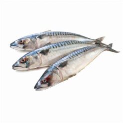 Makrell 1kg vakum pakke