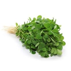 Methi i Bunt Bukkehornkløver( Fenugreek)