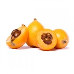 Mispel (Loquat) Yeni Dünya