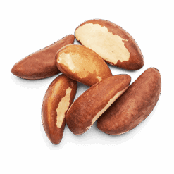 Paranøtter Rå Brazil Nuts 1 Kg