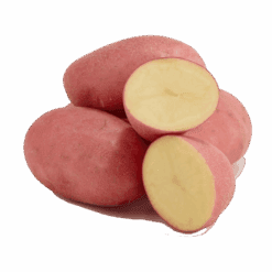 Poteter Rød