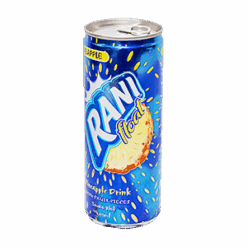 RANI Ananas Juice 240 ml