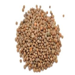 TAGINE Brun Linser 1 Kg
